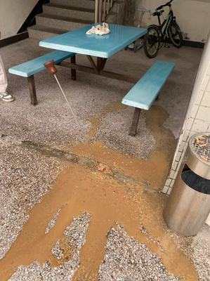 饭店水管漏损探测与商铺喷淋管修漏 东莞物业服务的实战指南